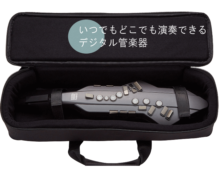ローランド Roland エアロフォン デジタルサックス Aerophone GO