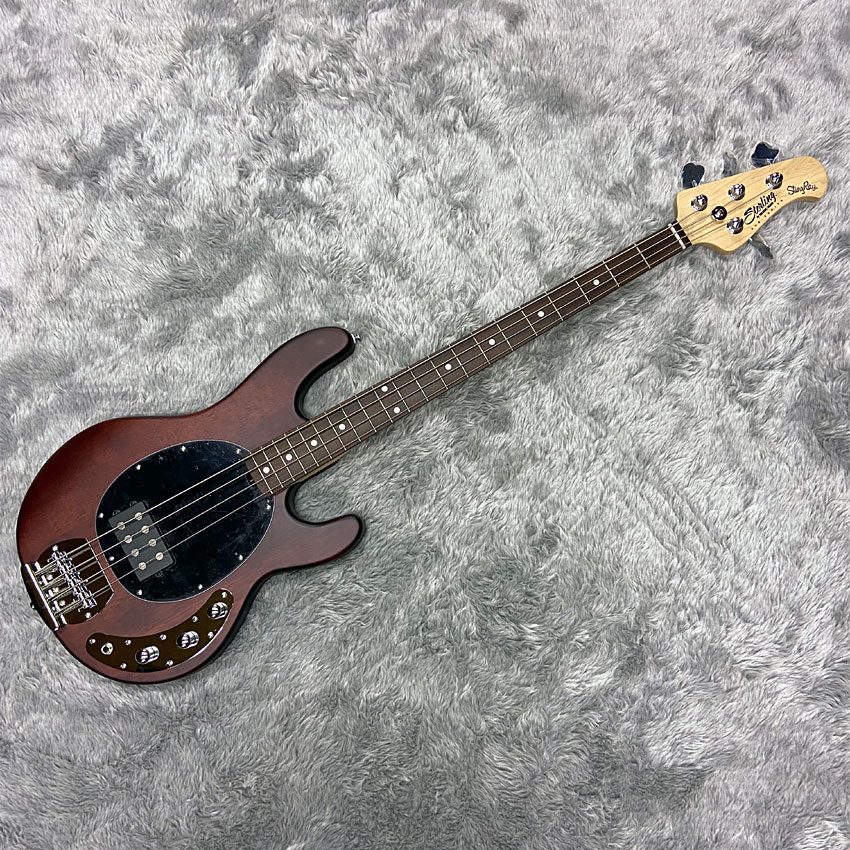 Sterling by MUSIC MAN エレキベース Ray4 Walnut Satin スティング