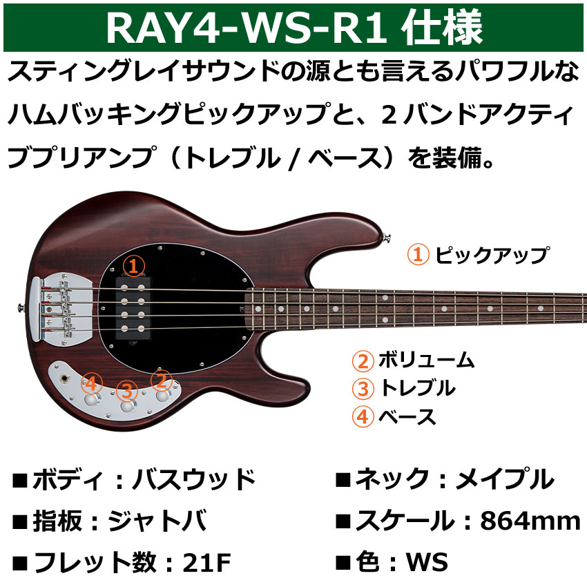Sterling by MUSIC MAN エレキベース Ray4 Walnut Satin スティング