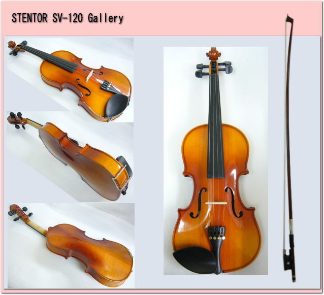 【特別値下げ】STENTOR SV-120 4/4 バイオリン　※9/24まで SV-120 4/4 | キクタニミュージック