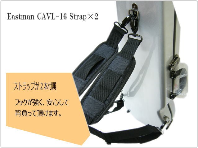 イーストマン バイオリンケース 【ラムネ/SVフレーム】CAVL16/定番