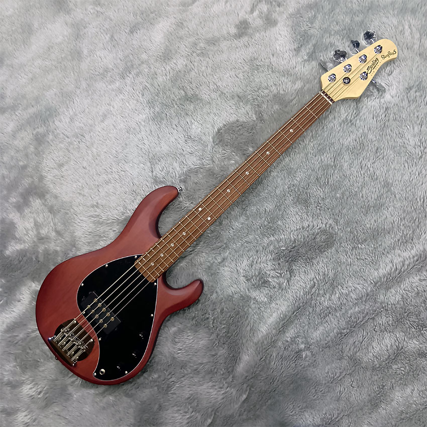 Sterling by MUSIC MAN エレキベース Ray5 Walnut Satin 5弦ベース