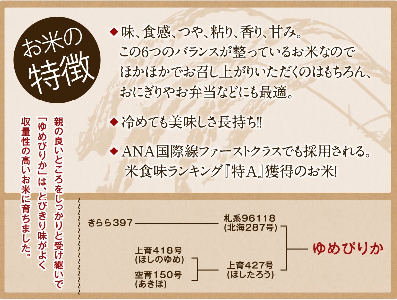 新米 令和5年産］北海道産米食べ比べセット ゆめぴりか 白米 5kg ＋ な