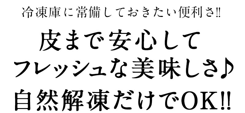 冷凍レモンスライス