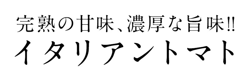 イタリアントマト