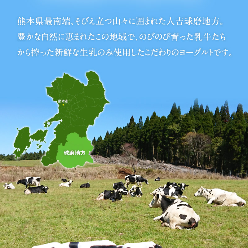 球磨の恵みヨーグルト