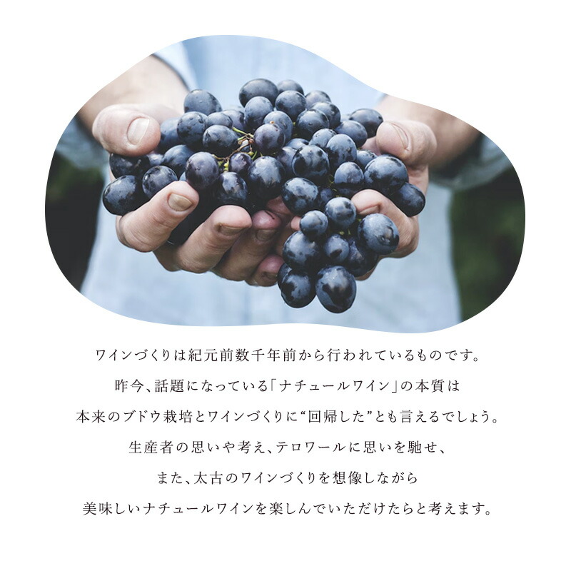 ナチュール ワイン レ ザスレット デュ ヴァン 4本セット ［冷蔵のみ