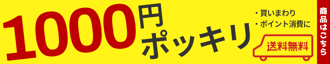 1000円ポッキリ