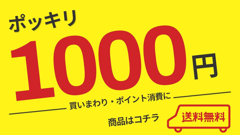 1000円ポッキリ