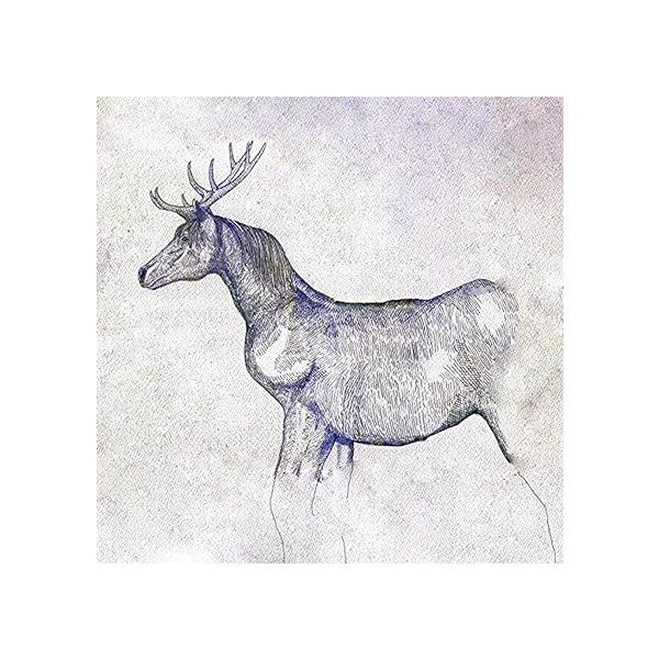米津玄師 アルバム 全5枚セット 初回限定盤 映像盤 CD+DVD STRAY SHEEP【アートブック盤(初回限定)】(DVD) | 米津玄師