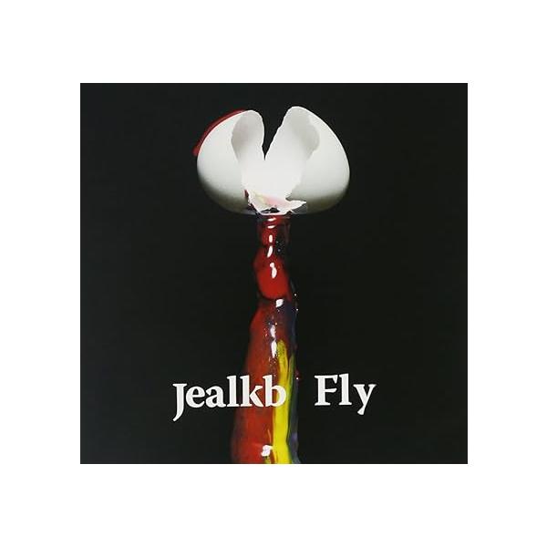【中古】fly / jealkb （帯なし）｜metacyverse