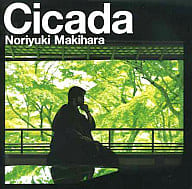 【中古】Cicada / 槇原敬之（帯あり）｜metacyverse