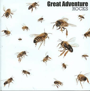 【中古】ROCKS/GREAT ADVENTURE（帯あり）