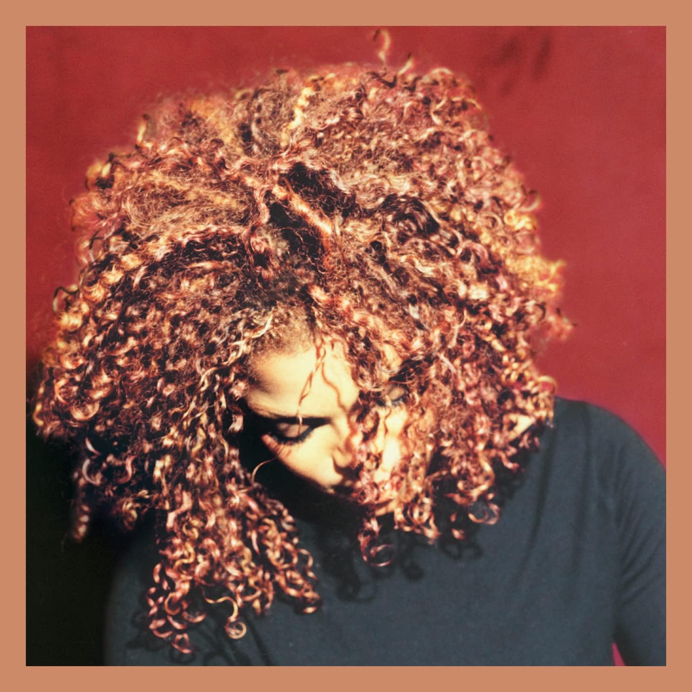 【中古】Velvet Rope  /  ジャネット・ジャクソン （帯無し）