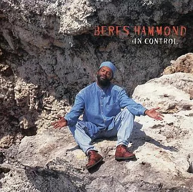 【中古】In Control / ベレス・ハモ...の詳細画像1