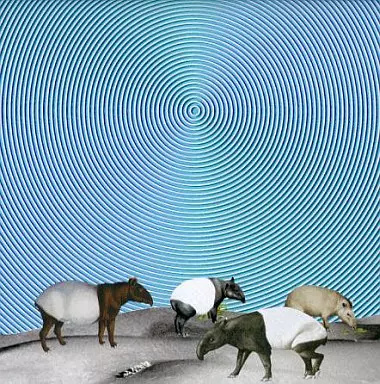 NICO touches wallsのおすすめ人気商品一覧 通販 - Yahoo!ショッピング