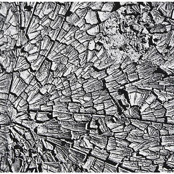 【中古】Mud Day / QN From S...の詳細画像1