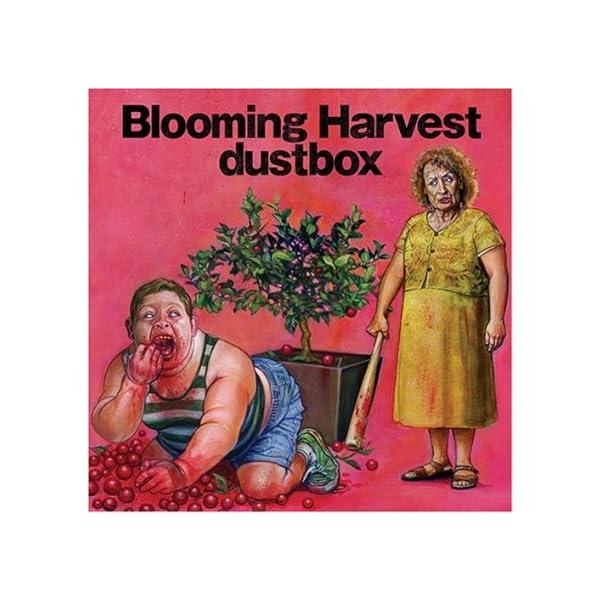【中古】Blooming Harvest / dustbox （帯あり）