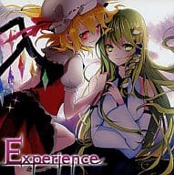 【中古】Experience / Elemental Records（帯）｜metacyverse