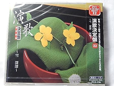 【新品】音声多重カラオケ/演歌決定盤（22）〜雪　深深〜