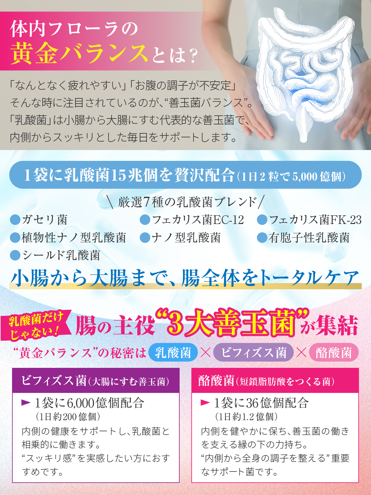医師監修 生きた 乳酸菌15兆個×ビフィズス菌6000億個×酪酸菌36億個