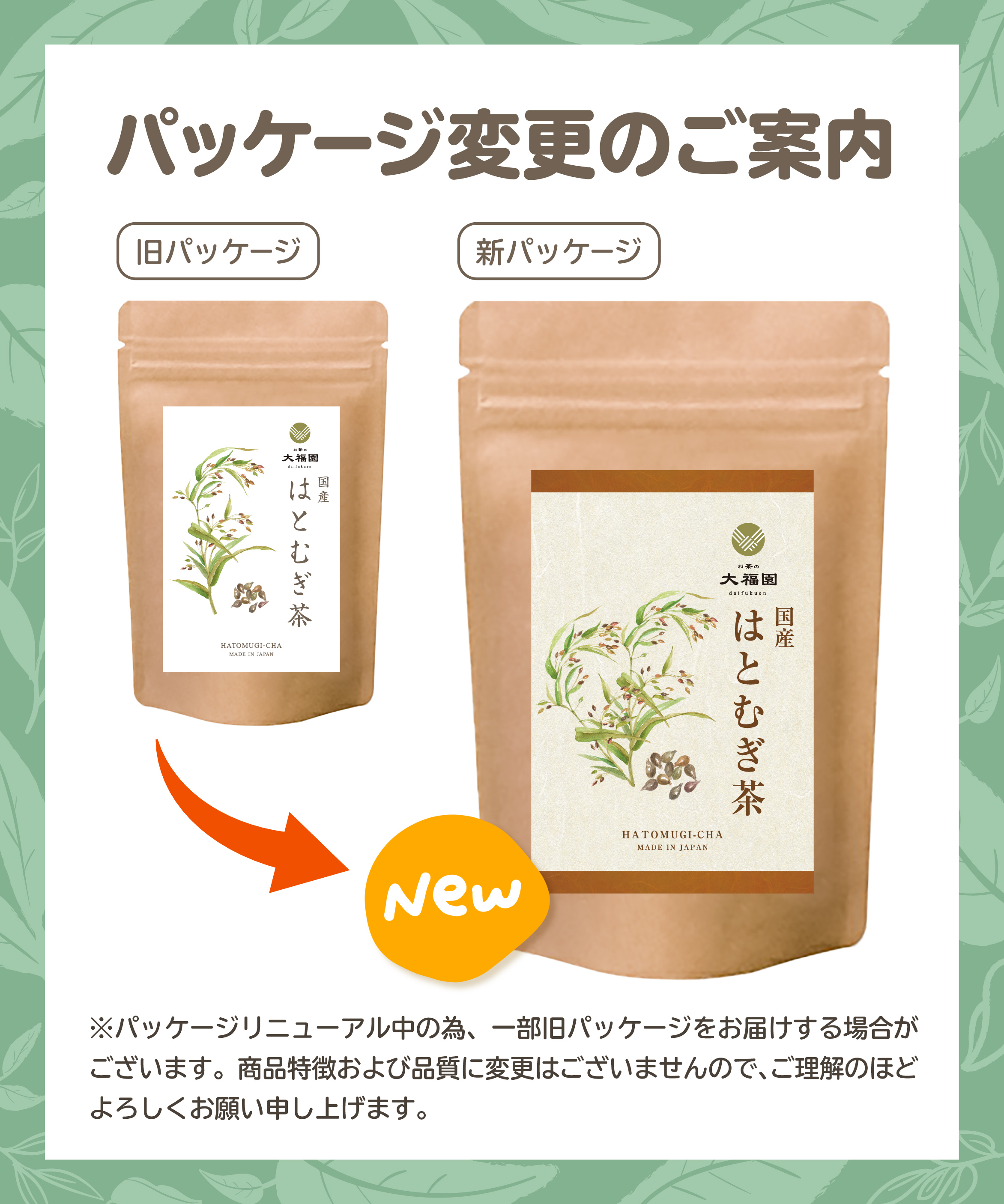 はとむぎ茶 国産 5g×50包 ティーバッグ ノンカフェイン 残留農薬