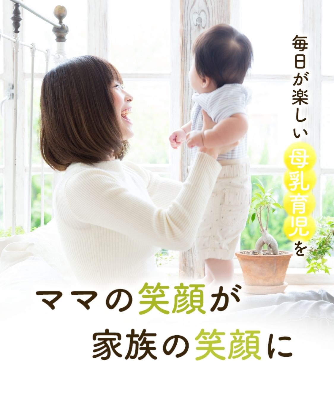 たんぽぽママ 楽天市場】【楽天1位】有機たんぽぽブレンドティー 2g×30包 送料