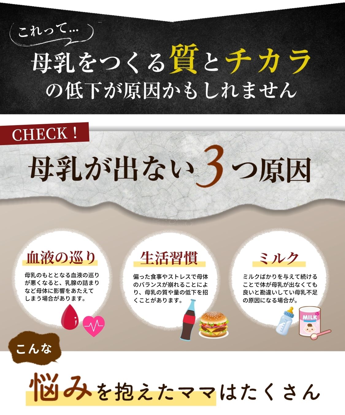たんぽぽ茶 2g×30包 たんぽぽ 茶 タンポポ茶 たんぽぽコーヒー