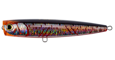 pop160_002.png?size=n