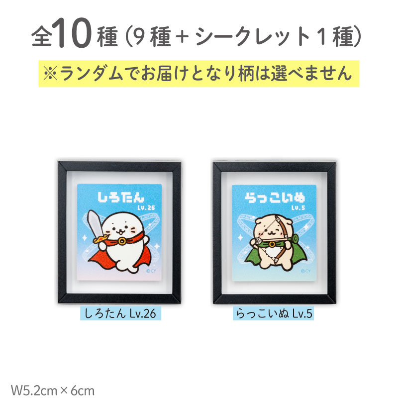 Mother garden（マザーガーデン） しろたん クエストフレーム