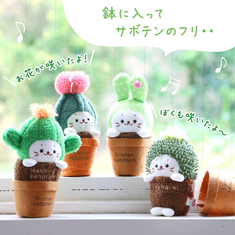 Mother garden しろたん サボテン マスコット 柱サボテン うちわ