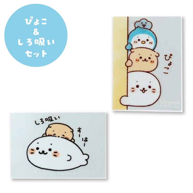 ぼくはしろたん CD しろたん Mother garden しろたん音頭 クーポンで最大¥500off 希少(廃盤)CD【ぼくはしろたん/ぼくはしろたん