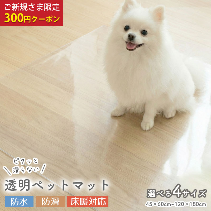 商品3の説明