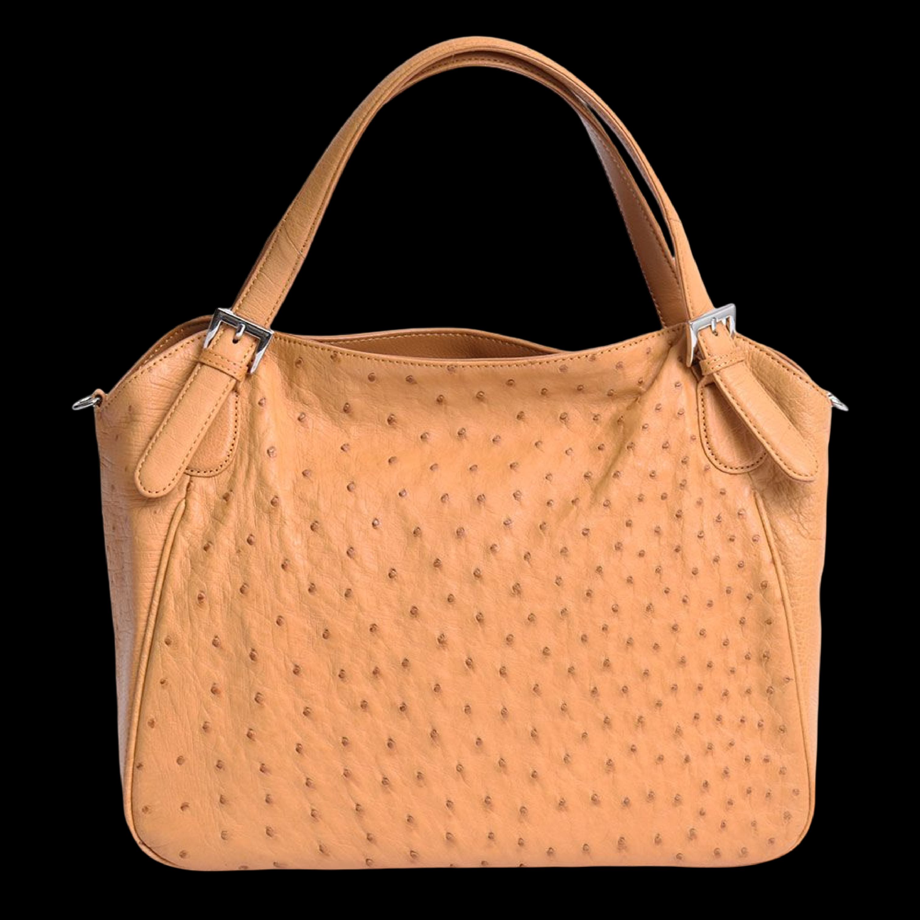 【美品】Selliers du Marais /オーストリッチ/ハンドバッグ MGSABLE オーストリッチ ハンドバッグ レディース 訳あり品