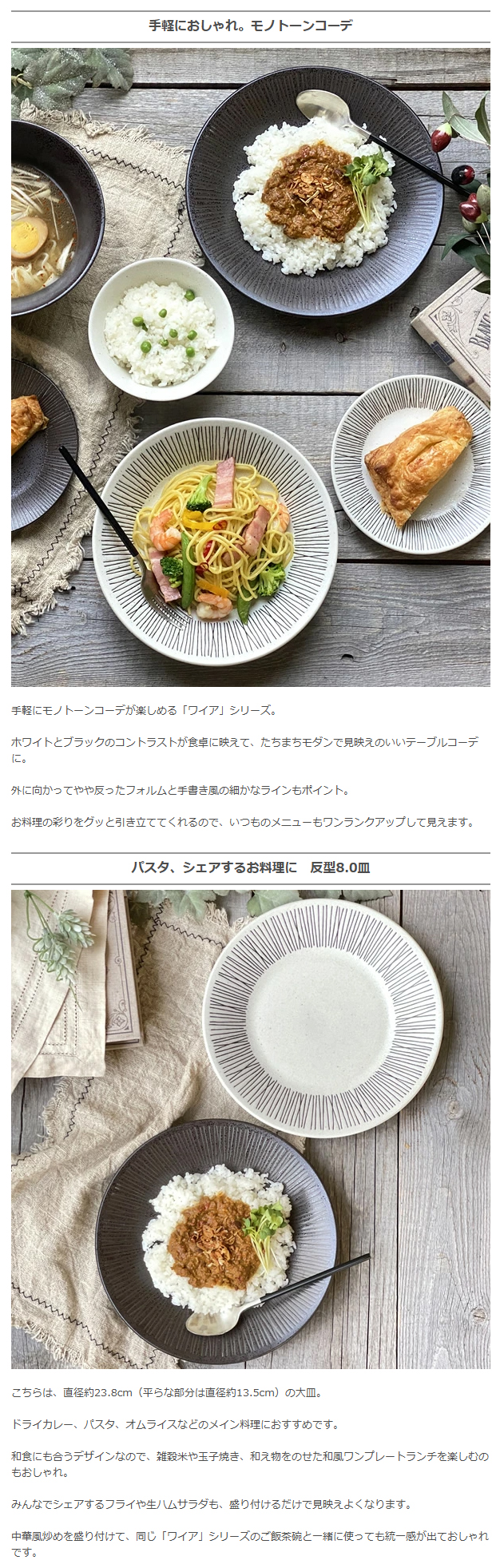 食器 和食器 おしゃれ 皿 カレー皿 ワイア反型8.0皿 パスタ皿 食器 和食器 おしゃれ 皿 カレー皿 ワイア反型8.0皿 パスタ皿
