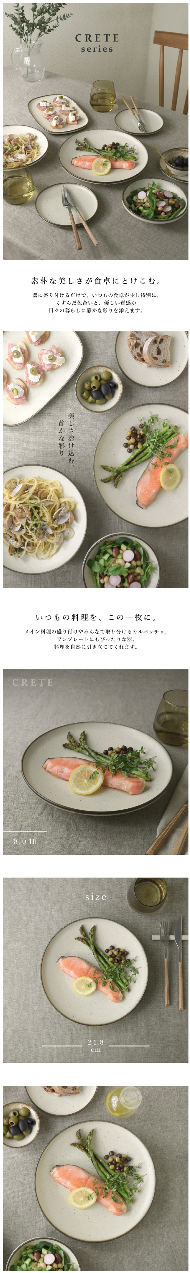 大皿 食器 和食器 おしゃれ 皿 クレタ8.0皿 モダン 美濃焼 パスタ皿