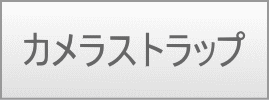 カメラストラップ