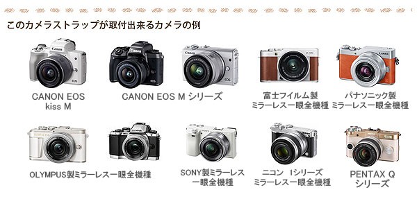 Canon M100 Kiss M対応 カメラストラップ/取付8mm幅【フリータイプ
