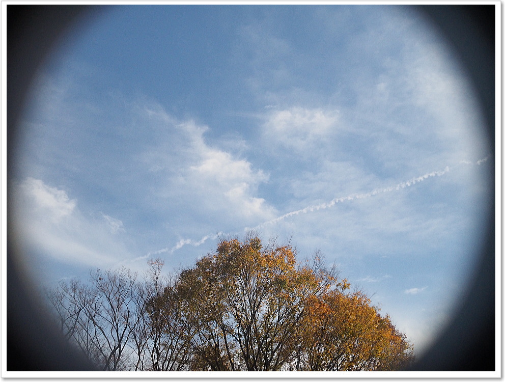 保証付 】【中古】 オールドレンズ Meopta（メオプタ）Openar 20mm F1