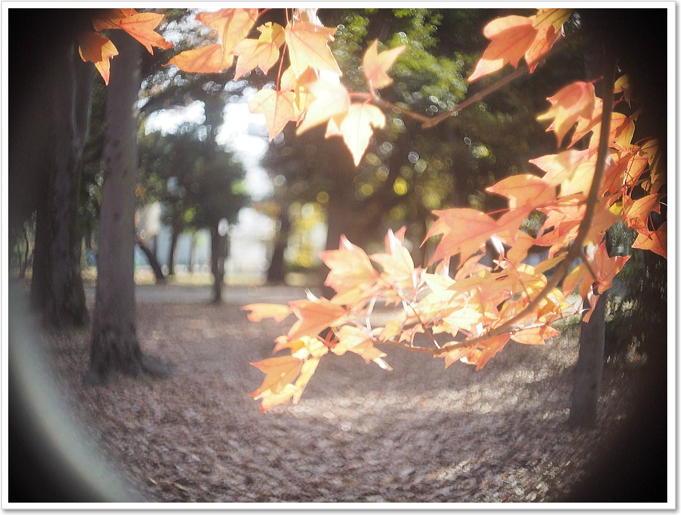 保証付 】【中古】 オールドレンズ Meopta（メオプタ）Openar 20mm F1