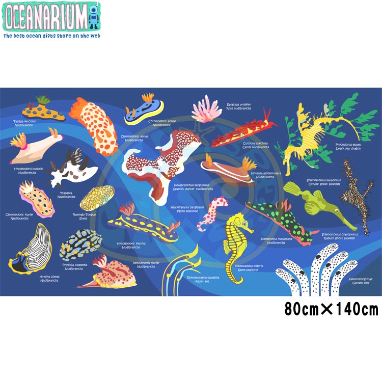 [ OCEANARIUM ] ドライタオル T01 Nudibranch identification dry towel 80cm x 140cm | 