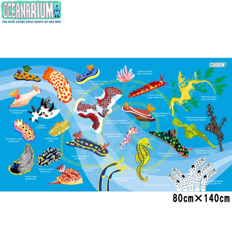 [ OCEANARIUM ] ドライタオル T09 skyblue nudibranches identification dry towel 80cm x 140cm | 
