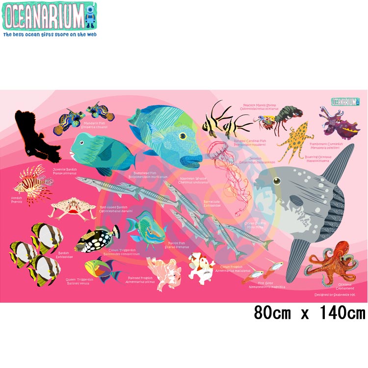 [ OCEANARIUM ] ドライタオル T11 Pink Mola & Reef fish identification dry towel 80cm x 140cm | 