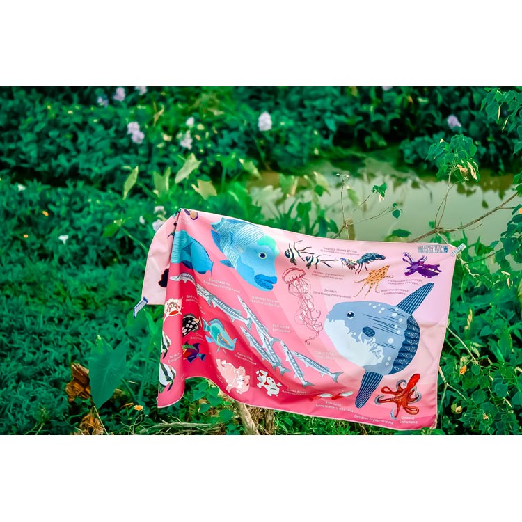 [ OCEANARIUM ] ドライタオル T11 Pink Mola & Reef fish identification dry towel 80cm x 140cm |  | 01