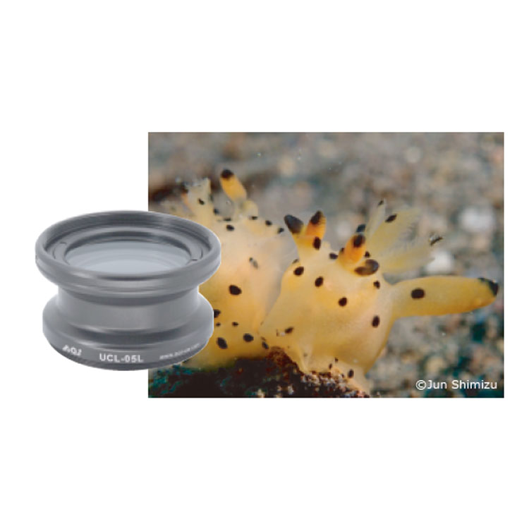 [ AOI ] クローズアップレンズ＋6 UCL-05L |  | 04