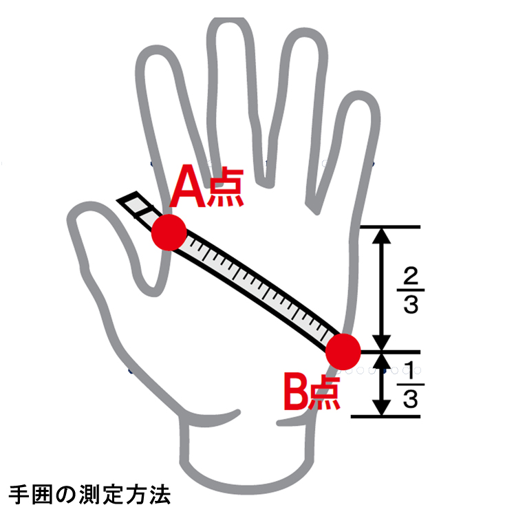 [ AQUALUNG ] アクアラング アドミラル 3 グローブ AQUALUNG ADMIRAL 3 GLOVES [ ダイビング用 ] |  | 01