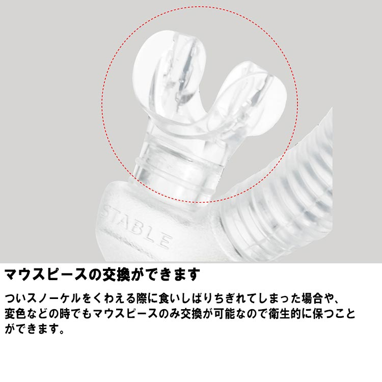 2026新色 ダイビング シュノーケル [ GULL ] ガル レイラステイブル GS-3173 / GS-3174 LEILA STABLE GS3173 / GS3174 ダイビング用スノーケル | GULL | 07