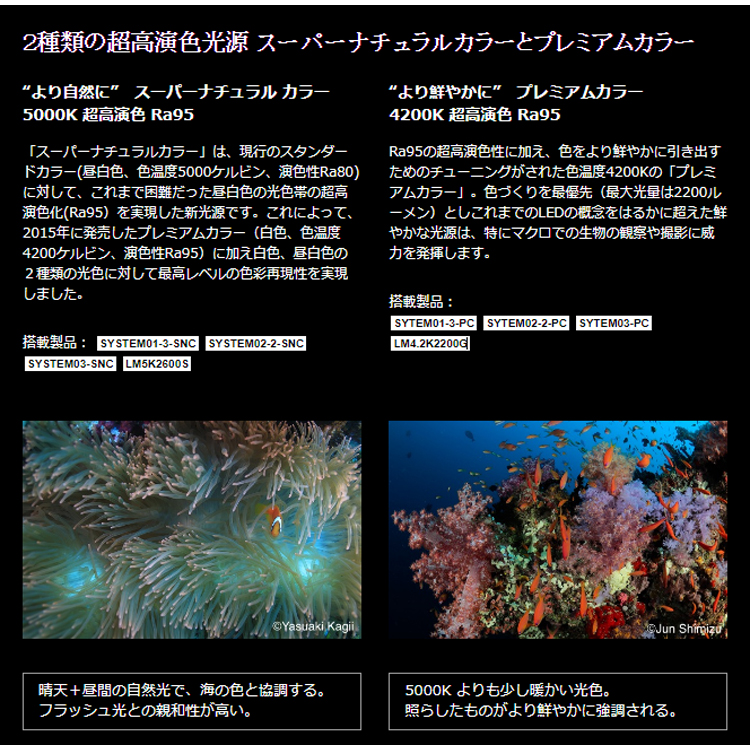 [ RGBlue ] アールジーブルー ライトモジュール LM5K1300S2 ( re ) |  | 01