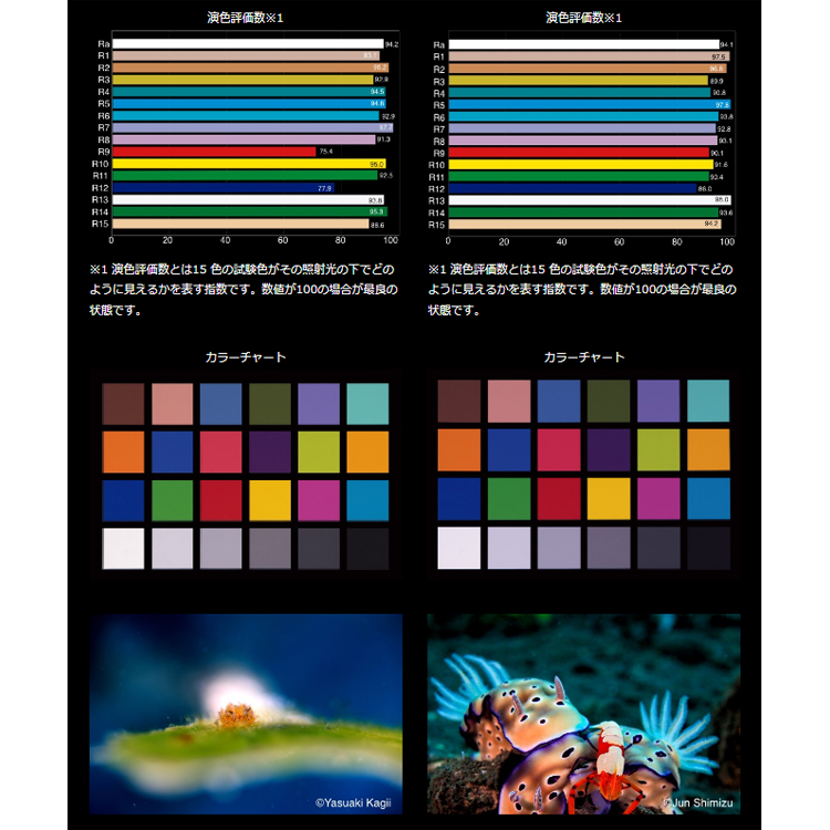 [ RGBlue ] アールジーブルー ライトモジュール LM5K1300S2 ( re ) |  | 02