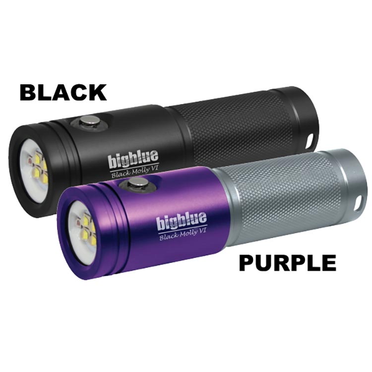 [ bigblue ] AL-2000XWP BLACK MOLLY VI [ KL545 ] | 